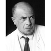 Alexander Vesnin