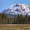 Mount Adams (Washington)
