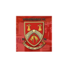 Stourbridge F.C.