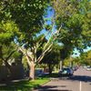Maidstone, Victoria