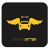 Driver-Sitter