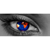 Bulgarian Software Solutions