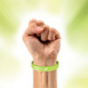 Flip Band