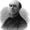 Charles Chiniquy