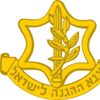 Israel Defense Forces