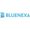 Bluenexa
