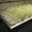 Plant physiology