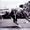 Phar Lap