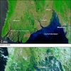 Irrawaddy Delta