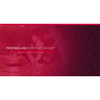 Prestige Lane Hospitality Brands