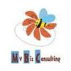 My Biz Consulting