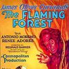 The Flaming Forest