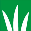 DLF
