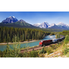 Environmental Recovery Corporation