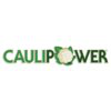 CAULIPOWER