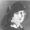 Dorothea Mackellar