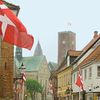 Ribe