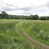 Open Spaces Society
