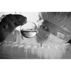 Bio-Processing Alliance
