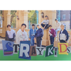 STRAY KIDS
