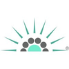 Lumenisity Limited