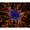 Invitro Cell Research, Llc