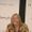 Dorothy Allison