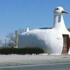 Big Duck