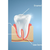 Thooth enamel