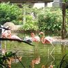 Cali Zoo
