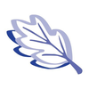 Harmony Clean