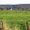 Launois-sur-Vence