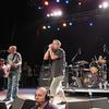 Descendents