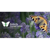 Butterfly Conservation