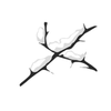Whitethorn Digital