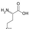 Homocystinuria