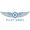 Pilot Angel