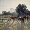 Elioth Gruner