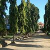 Bombo Hospital