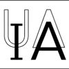 International Astronomical Union