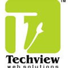 Techview Web Solutions