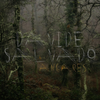 Davide Salvado