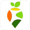FoodFli