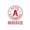 Accel E-Commerce