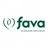 FAVA