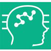 The Brain Institute of America