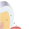 Cementum