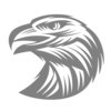 Light Hawk Financial