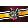 Chicago Wolves