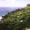 Adamstown, Pitcairn Islands